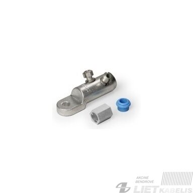 Antgalis kilpinis varžtinis D35-150x12 SK-V-K