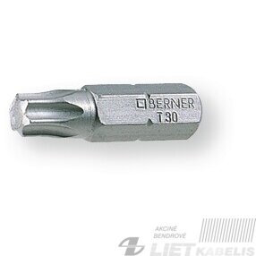 Atsuktuvo antgalis TX20,25mm šešiakampis, Berner Atsuktuvo antgalis TX20,25mm šešiakampis, Berner
