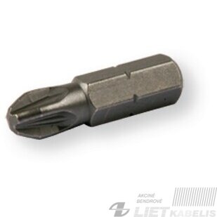 Atsuktuvo antgalis PZ1 1/4" 25mm, Berner Atsuktuvo antgalis PZ1 1/4" 25mm, Berner
