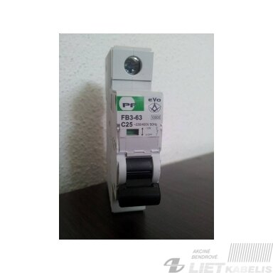 Automatinis jungiklis FB3-63 C10/1 10kA PF