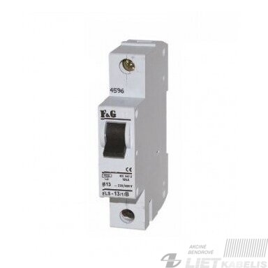 Automatinis jungiklis ELS B25/1, F&G