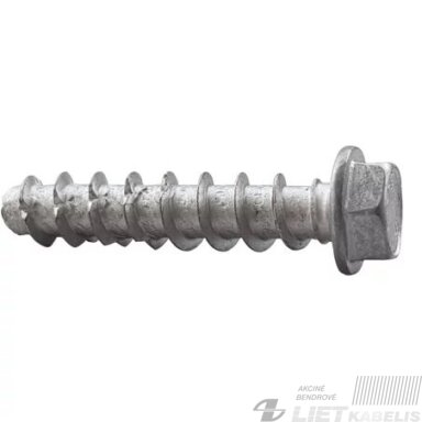 Betonsraigtis 6,4x60 ZnFI BTS5 B, CELO Betonsraigtis 6,4x60 ZnFI BTS5 B, CELO