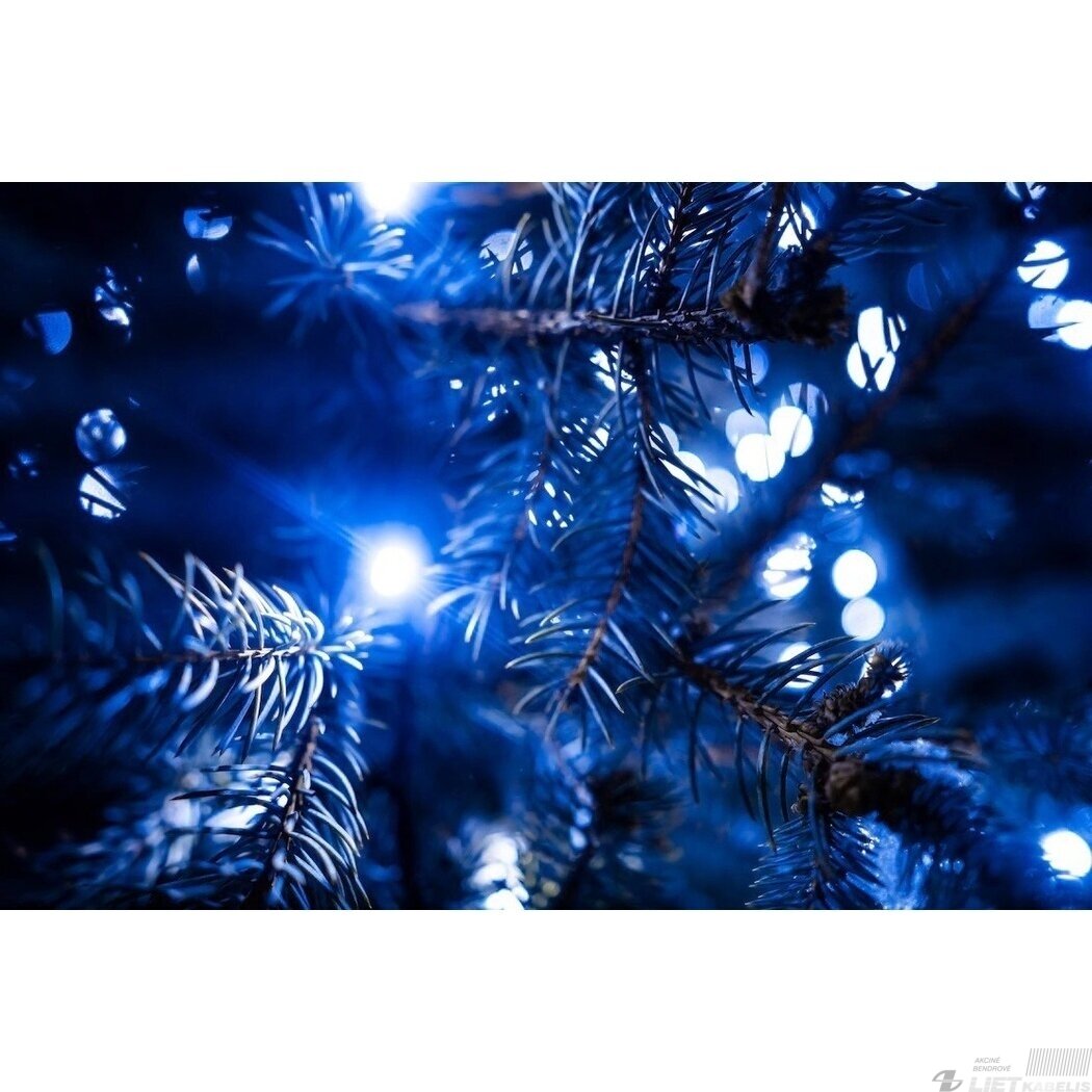 ELektrinė girlianda 100 lempučių 10m. mėlyna, IP20, Energy light 1