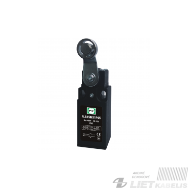 Galinis jungiklis FLS 15M 33P, IP65, PF