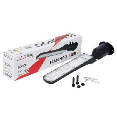 Gatvės šviestuvas LED FLAMINGO 30W, 4000K, 3000lm, juodas, IP65, LEDLine