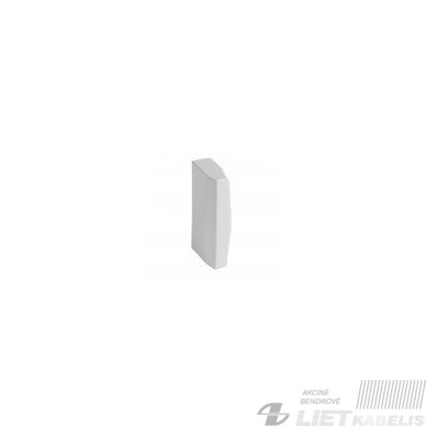 Galinis dangtelis loveliui 50x100 DLP-S, Legrand