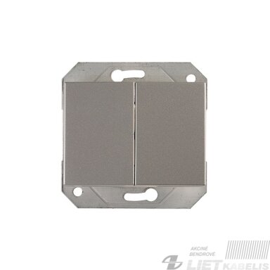 Jungiklis 2 klavišų, P510-020-12 be rėmelio, metalo spalvos, XP500, Vilma