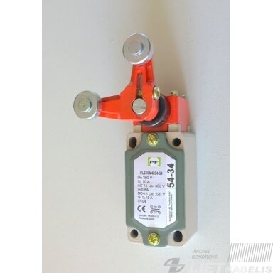 Galinis jungiklis FLS 15M 4234-54 PF