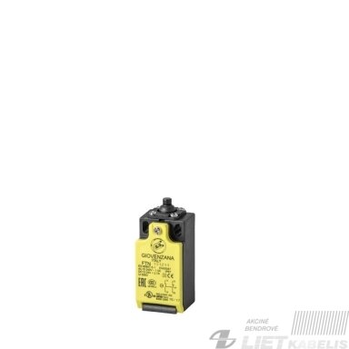 Jungiklis galinis FTN131Z11 1NC/1NO M16 GG