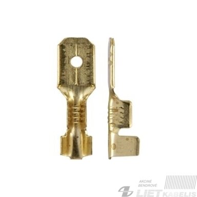 Antgalis plokščias kištukas neizoliuotas 1,0-2,5mm² 6,3x0,8 žalvaris, BERNER