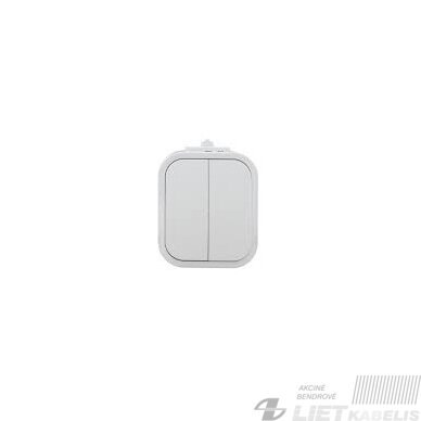 Jungiklis 2 klavišų, WNT-2B virštinkinis, IP44, ABEX Jungiklis 2 klavišų, WNT-2B virštinkinis, IP44, ABEX