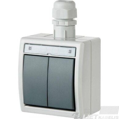 Jungiklis AQUANT 2 klavišų  virštinkinis, IP65, Elektro-plast