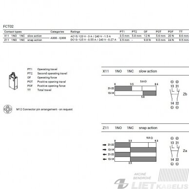 Jungiklis galinis FCT2L02Z11D 1NC/1NO s/l 2m GG 2