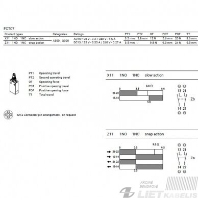 Jungiklis galinis FCT2L07Z11D 1NC/1NO s/l 2m GG 2