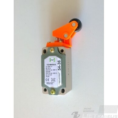 Galinis jungiklis FLS 15M 4236-54 PF Galinis jungiklis FLS 15M 4236-54 PF