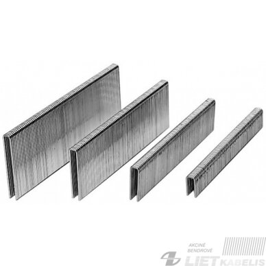 Kabė 13/6 (6x10,7x0,6) mm 5.0 tūkst. Kabė 13/6 (6x10,7x0,6) mm 5.0 tūkst.