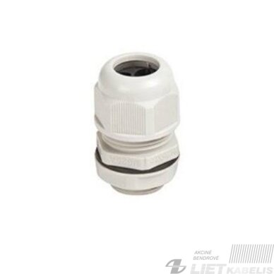Kabelio sandariklis Pg11 HP-Eco 4-10mm Kabelio sandariklis Pg11 HP-Eco 4-10mm