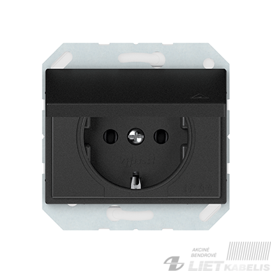 Kištukinis lizdas RP16-003-02 su įžeminimu, su dangteliu, be rėmelio, antracitas, IP44 XP500, Vilma