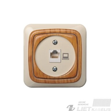 Kompiuterio lizdas IKL-001-01 be rėmelio, Alfa-liuks Kompiuterio lizdas IKL-001-01 be rėmelio, Alfa-liuks