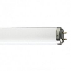 Lempa liuminescencinė 58W/840, G13, T8, Philips