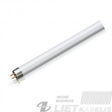 Lempa liuminescensinė 4W/10 BL Actinic
