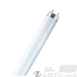 Lempa liuminescencinė T4-12W, 2700K, 756lm, Rabalux Lempa liuminescencinė T4-12W, 2700K, 756lm, Rabalux
