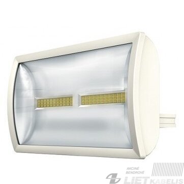 LED prožektorius  30W, 4000K, IP55, baltas, Theben