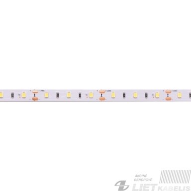 LED juosta 12V 4.8W/m nehermetiška IP20 šaltai balta 6500K 115lm/W PLUS AKTO LED juosta 12V 4.8W/m nehermetiška IP20 šaltai balta 6500K 115lm/W PLUS AKTO