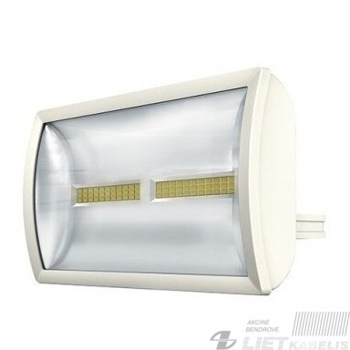 LED prožektorius  30W, 4000K, IP55, baltas, Theben