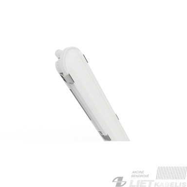LED šviestuvas 40-22W, 2700-6500K, 1,2m, IP65, EUROLIGHT