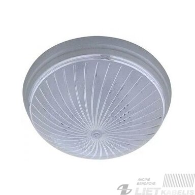 LED Šviestuvas tvirtinamas E2,7 max15W,  IP20, Horoz Electric