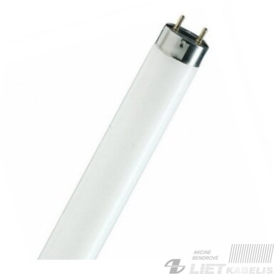 Lempa liuminescencinė 18W/865, T8, G13, Bellight Lempa liuminescencinė 18W/865, T8, G13, Bellight