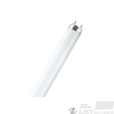 Lempa liuminescencinė T4, 20W, G5, Rabalux Lempa liuminescencinė T4, 20W, G5, Rabalux