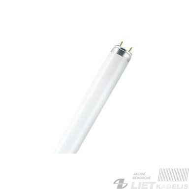 Lempa liuminescensinė 36W, 6500K, 3250lm, G13/T8, BELLIGHT