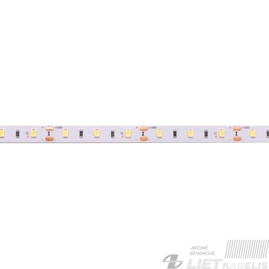 LED juosta 12V 4.8W/m nehermetiška IP20 šiltai balta 3000K 115lm/W PLUS AKTO