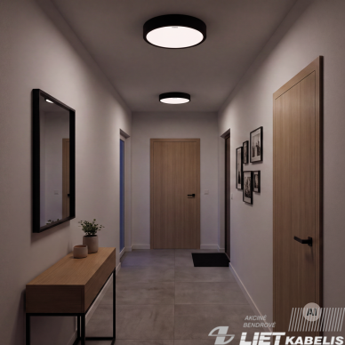 LED šviestuvas ANDRE 12/15/18W CCT 2910lm, juodas, IP20, STRUHM 1
