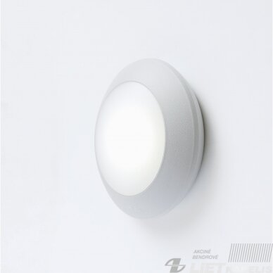 LED šviestuvas BERTINA 10W, GX53, 3000K, IP66, apvalus, Fumagalli 2