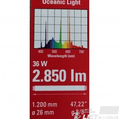 Lempa liuminescencinė T8, 36W, Oceanic Light, akvariumams, Narva 2