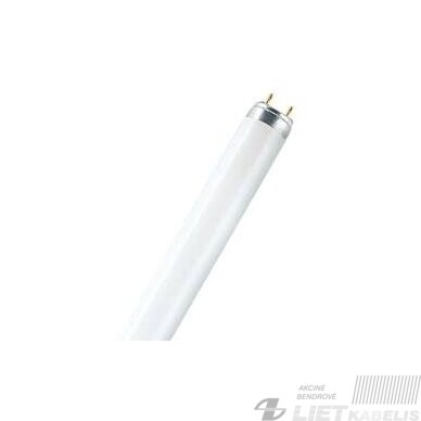Lempa liuminescensinė 36W, 6500K, 3250lm, G13/T8, BELLIGHT