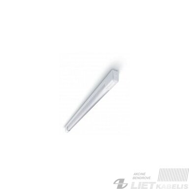 Liuminescencinis šviestuvas ITF-158C-WH, 58W
