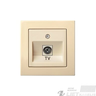 Lizdas ITVL-1-01 TV galinis, smėlio sp., Epsilon Lizdas ITVL-1-01 TV galinis, smėlio sp., Epsilon