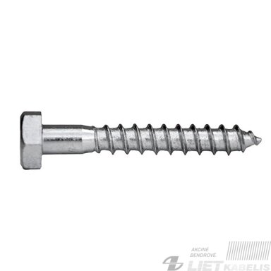 Medvaržtis DIN571 8.0x40 ZN Medvaržtis DIN571 8.0x40 ZN