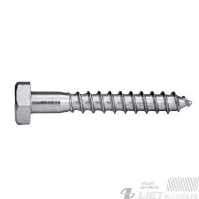 Medvaržtis 10,0x60 DIN571 baltas, ZN Medvaržtis 10,0x60 DIN571 baltas, ZN
