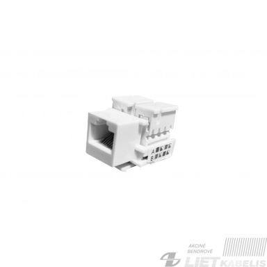 Modulis kompiuteriui RJ45 CAT6 lizdas, baltas "Keystone tipas" (komponentas montuoti apdailoje)