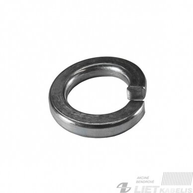 Poveržlė DIN127 D10 ZN