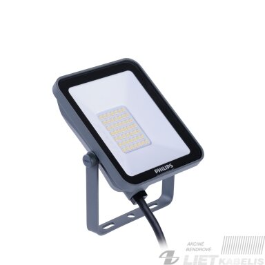 LED prožektorius 50W, 4000K, 6000Lm, pilkas, IP65, PHILIPS