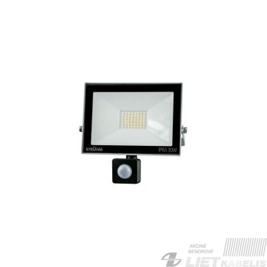 Prožektorius LED 30W 6500K su davikliu, pilkas IP65, STRUHM