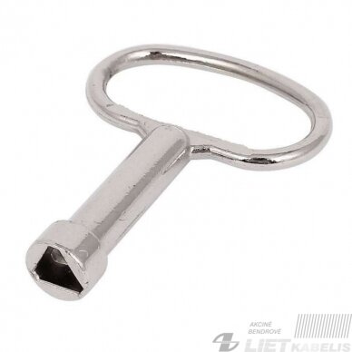 Raktas elektros spintai 8x3mm