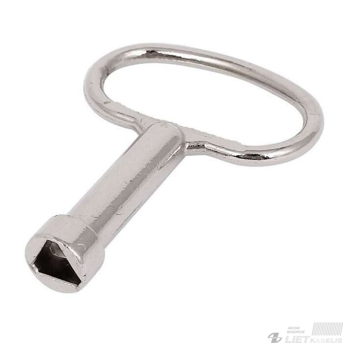 Raktas elektros spintai 8x3mm