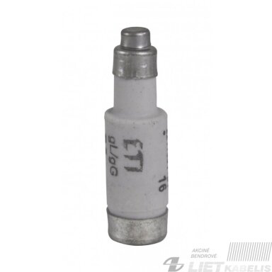 Saugiklis D01 gl 16A